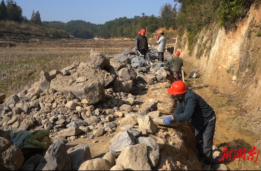 绥宁：抢抓冬闲夯“耕”基  高标农田建设忙_邵阳头条网