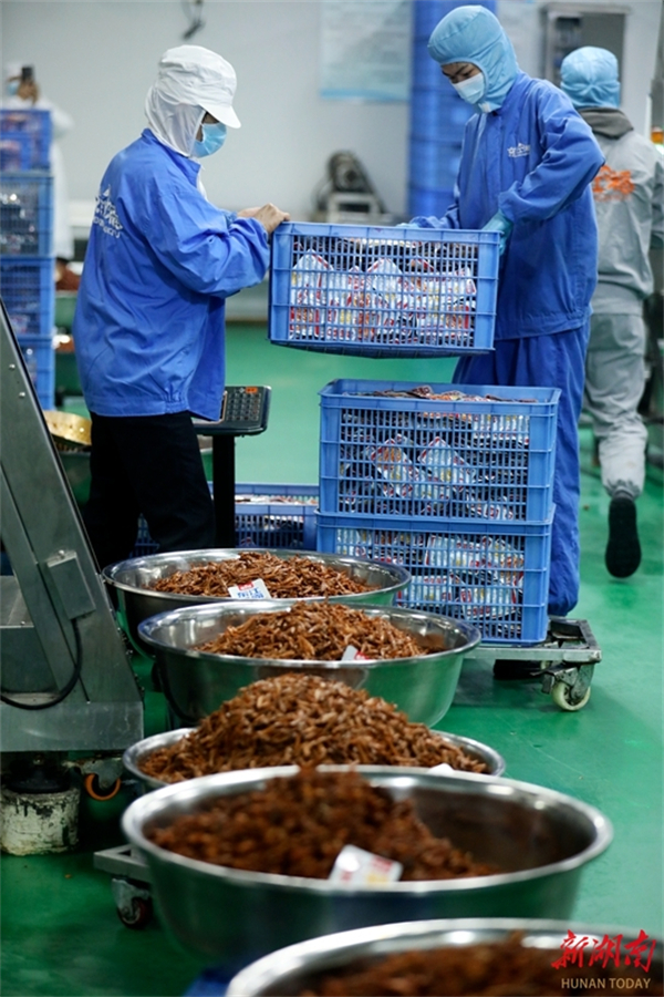 Fish, Fruit, Tea, Vegetable Industries Strengthened in Zixing