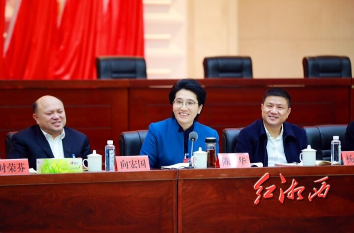 陈华参加龙山保靖代表团审议：力争在推动县域经济高质量发展、产业建设上走在前、做示范