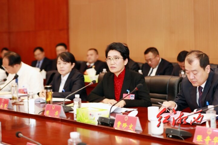 陈华参加花垣凤凰代表团审议：要在推进矿业转型、舞活旅游“龙头”上取得新成效