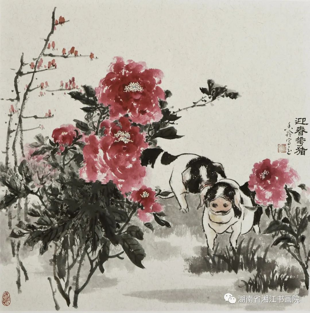 杨香玲｜宁乡花猪入画来——画猪小记- 湘江副刊- 新湖南