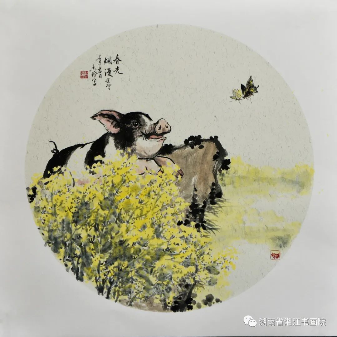 杨香玲｜宁乡花猪入画来——画猪小记- 湘江副刊- 新湖南