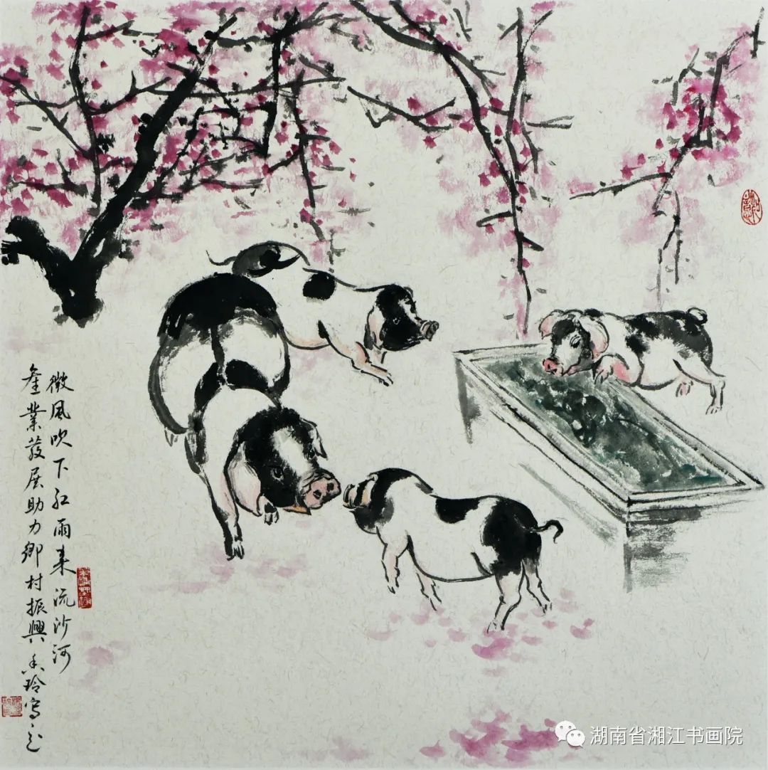 杨香玲｜宁乡花猪入画来——画猪小记- 湘江副刊- 新湖南
