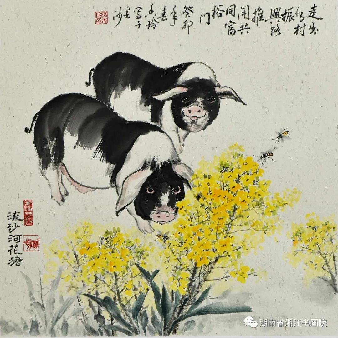 杨香玲｜宁乡花猪入画来——画猪小记- 湘江副刊- 新湖南