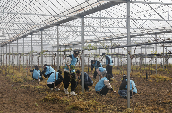 南华学子到劳动教育实践基地，感受现代农业种植