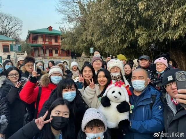 顶流熊猫兄妹，北京动物园“碰面”啦~