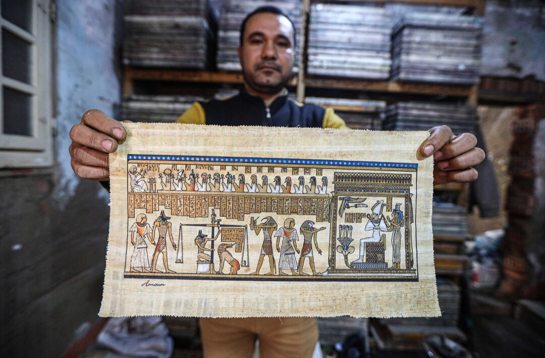 “化草为纸”——探访埃及纸莎草纸的古法制作