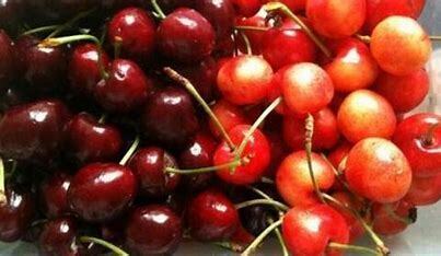 樱桃和车厘子到底有什么区别？价格差5倍是不是营养也翻倍？