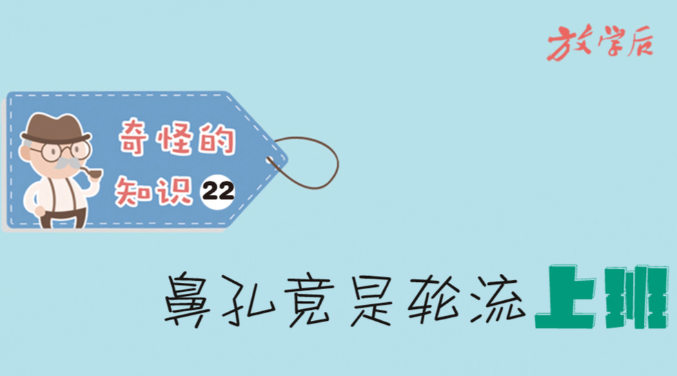 放学后·漫画|奇怪的知识㉒：鼻孔竟是轮流上班