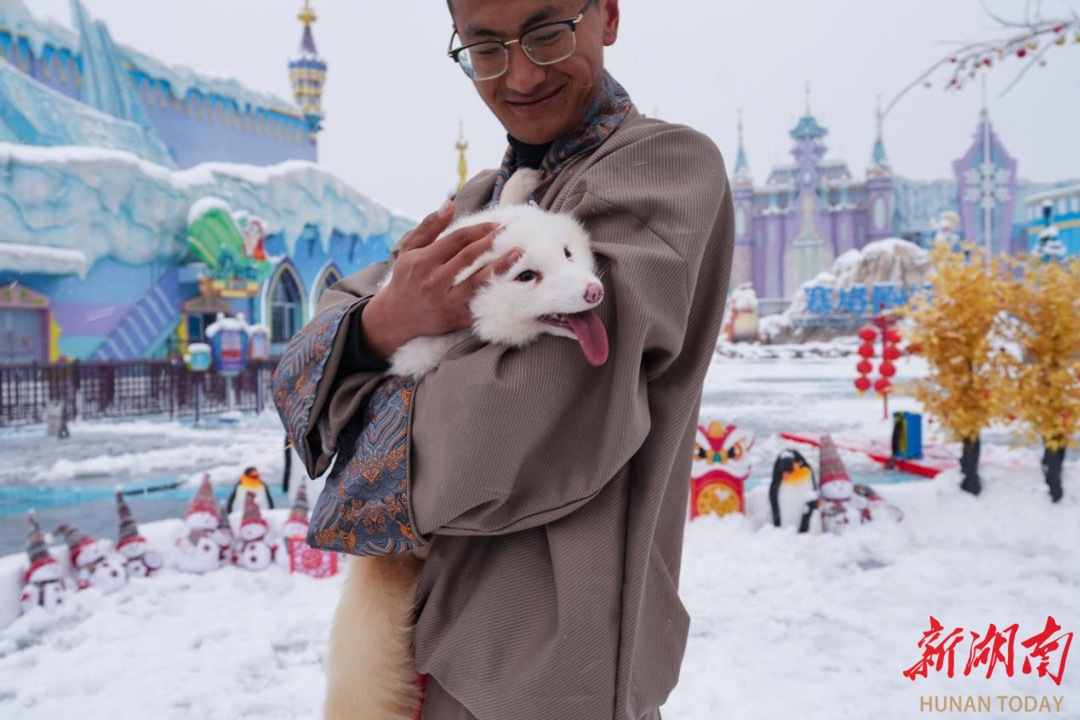 当“尔滨”的雪落在长沙，企鹅北极狐“组团”出街撒欢