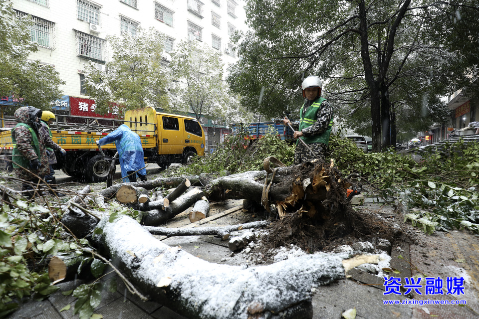 迎戰(zhàn)低溫雨雪冰凍天氣 | 園林工人冒雪清路障保暢通