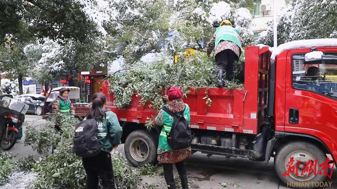 积雪压断树枝 园林绿化工人忙清理