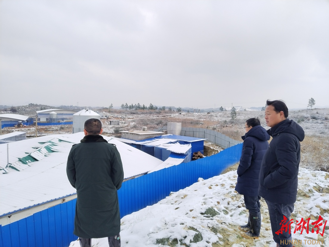 道县畜牧水产事务中心深入雪灾一线 指导抗灾救灾