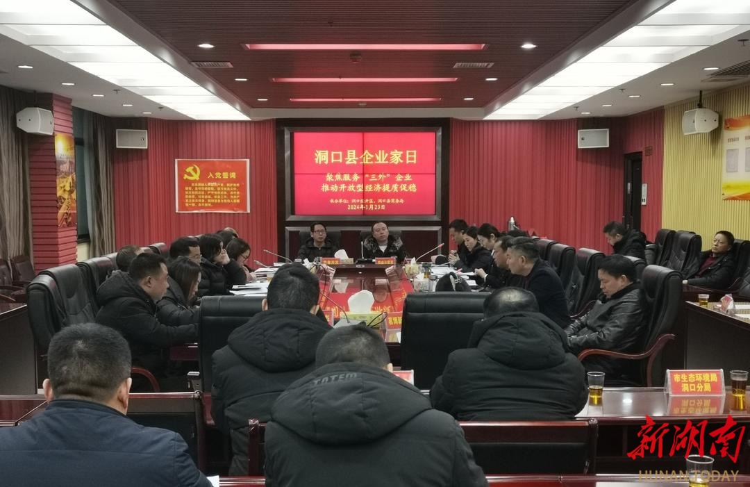 洞口:聚焦服务“三外”企业推动开放型经济提质促稳_邵阳头条网