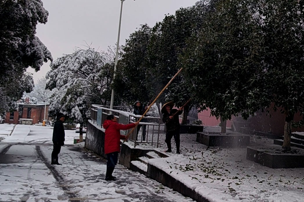 湖南财工职院全力开展雨雪低温安全应急工作