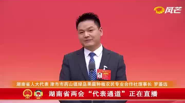 代表通道直击②丨罗鉴远：10年实干成就杨坝垱村“高颜值”“高价值”