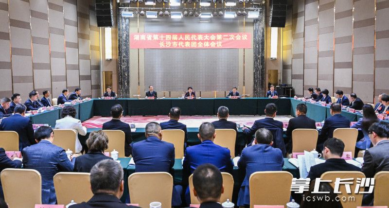 省两会进行时丨长沙市代表团举行全体会议 吴桂英参加