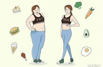 不吃主食能不能减肥