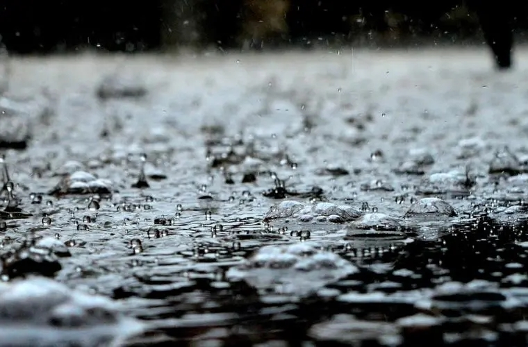 大雨暴雨大雪暴雪，即将上线！