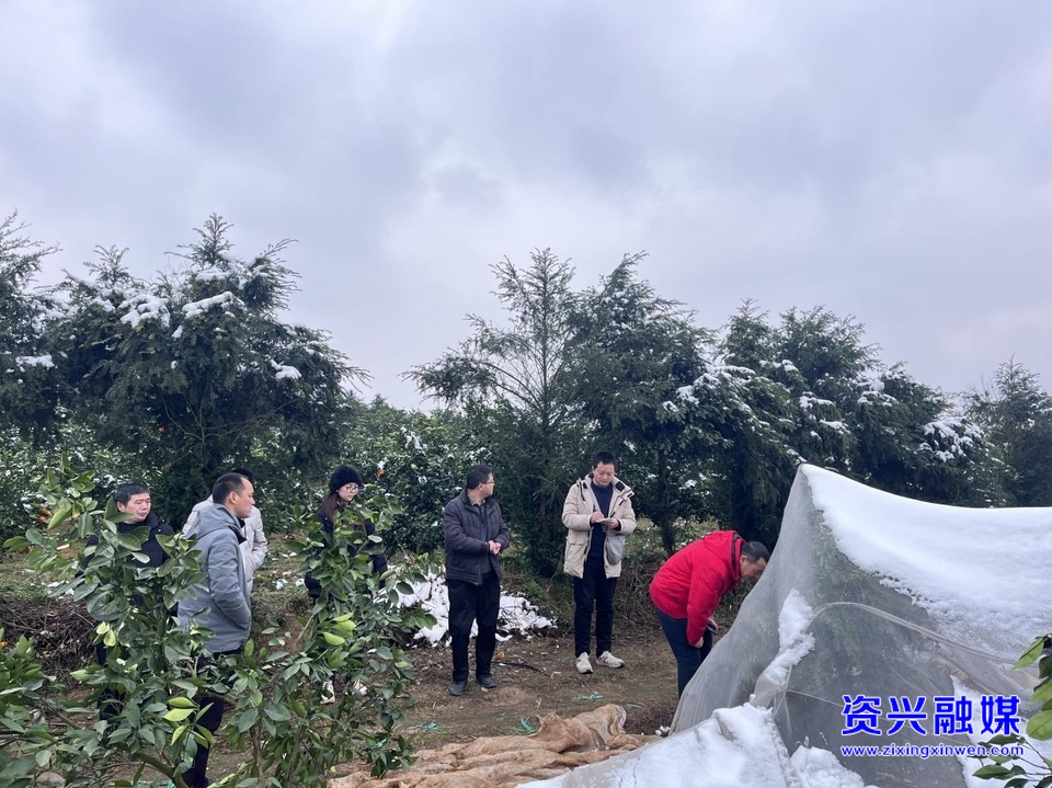 迎战低温雨雪冰冻天气 ▏积极防范应对 确保增产丰收