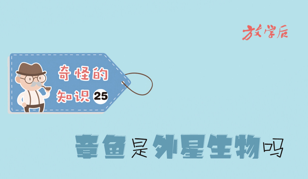 放学后·奇怪的知识㉕|章鱼是外星生物吗