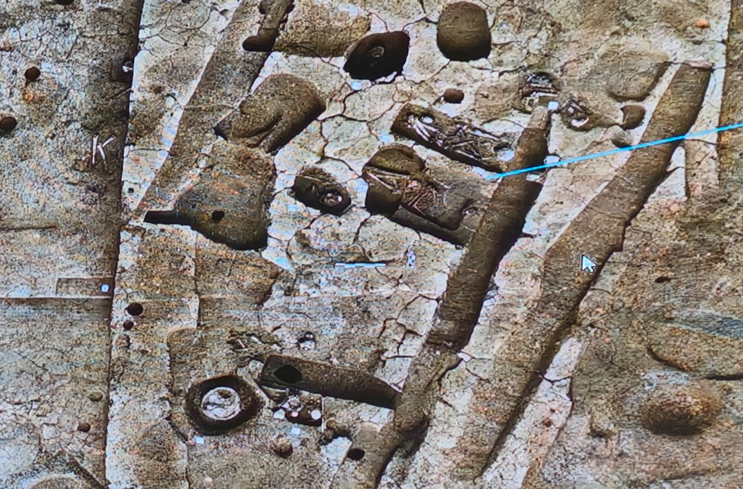湖湘一万年丨鸡叫城遗址，发现长江中游少见的史前人骨