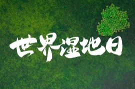 衡阳市林业局开展第28个“世界湿地日”宣传活动