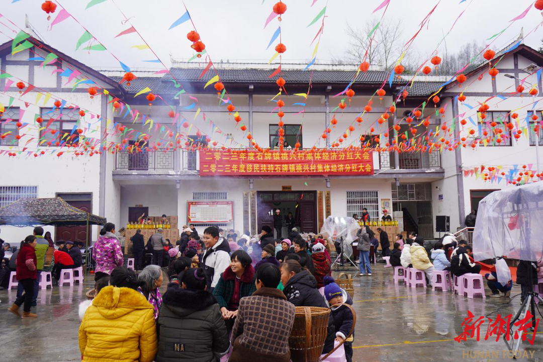 龙山县石牌镇桃兴村香菇产业旺村民喜分红