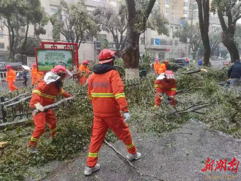 战低温 保安全 | 岳阳县林业局森林消防队积极应对低温雨雪冰冻天气