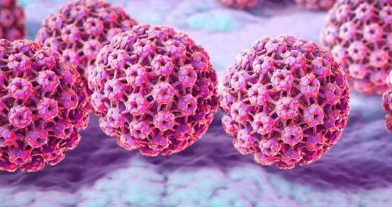 为何接种HPV疫苗至关重要？一起认识“可预防”的癌症——宫颈癌
