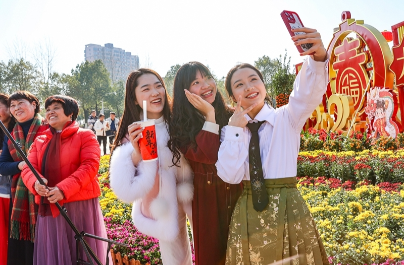 花团锦簇庆新年