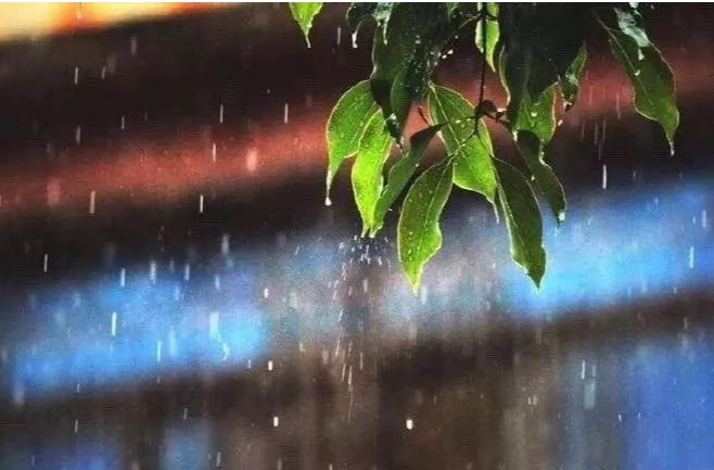 诗歌|一滴雨水润大地（外一首）