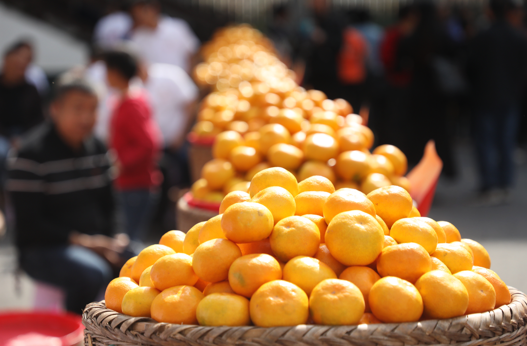 湖南东江湖蜜橘文化节“我与橘的故事”⑯| 三等奖作品：《一袋橘子的故事》