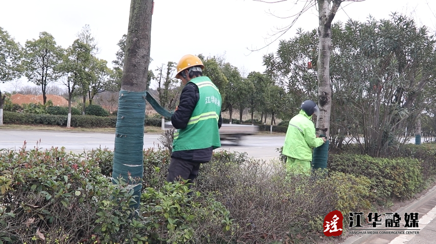 江华城市园林绿化服务中心积极应对低温天气