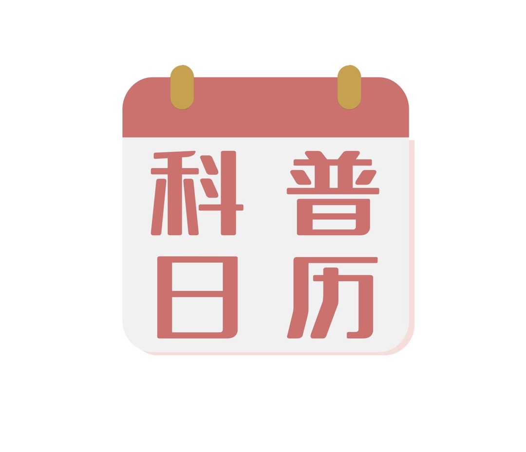 科普日历|竹木筷子建议2~3个月换一次