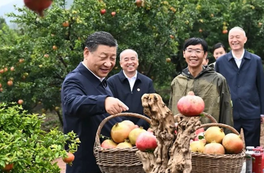 時政微觀察丨“土特產(chǎn)”帶來好日子