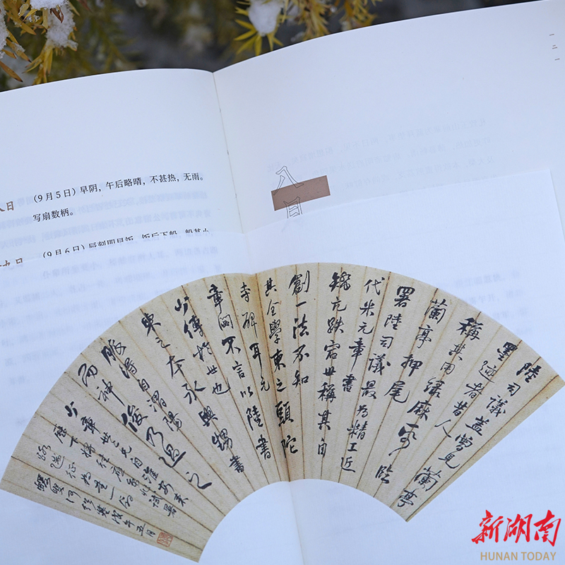 何紹基　手寫日記 何紹基日記冊《種竹日記》（部分）高清歷代名家書畫複製品SFH002