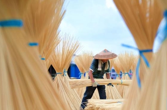 竹产业高质量发展“五年行动”启动 湖南打造千亿级竹产业集群