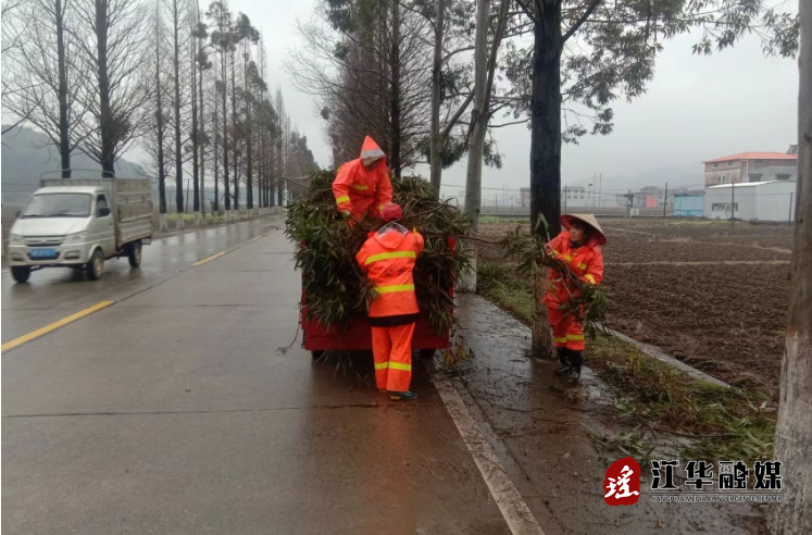 江华公路建设养护中心：及时清除冰冻掉落树枝 保障行车安全