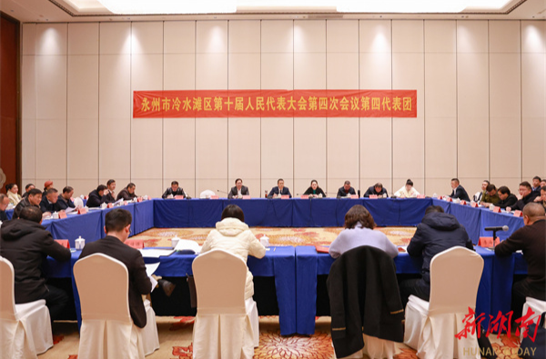 李辉参加第四代表团讨论：锚定目标 为民、主动、依法、高质、精准履职