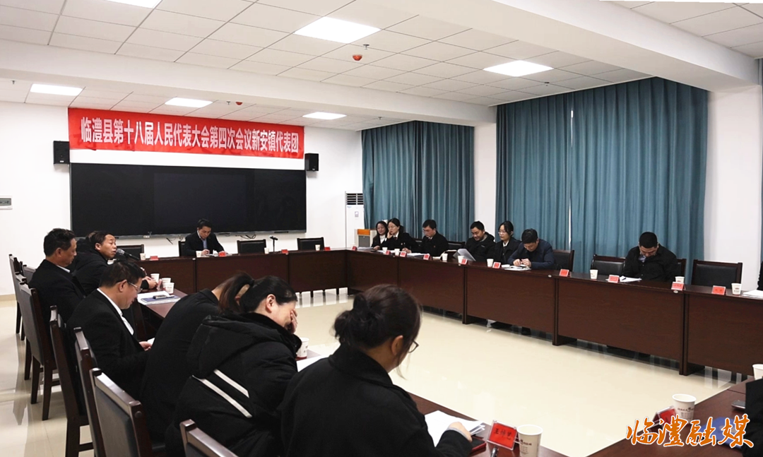 临澧县领导参加县十八届人大四次会议各代表团审议