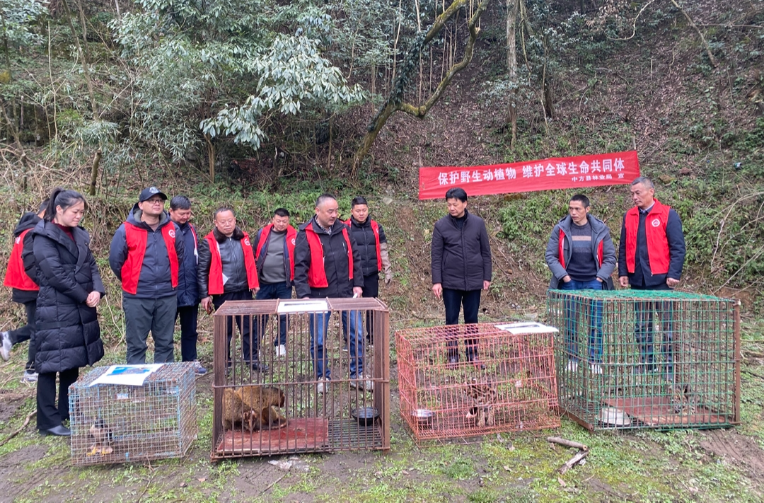 中方县：积极救助野生动物 共筑和谐生态环境