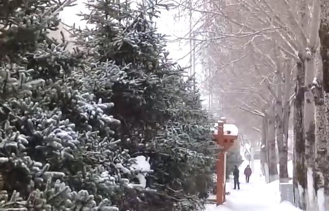 今年冬天是暖冬还是冷冬？厄尔尼诺影响有多大?专家解读