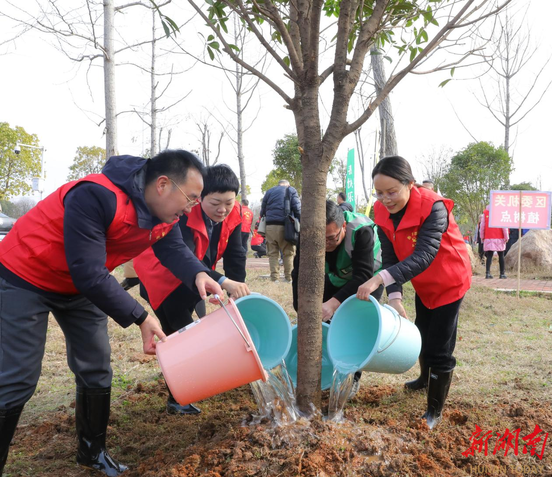 植树节活动图片大全图片