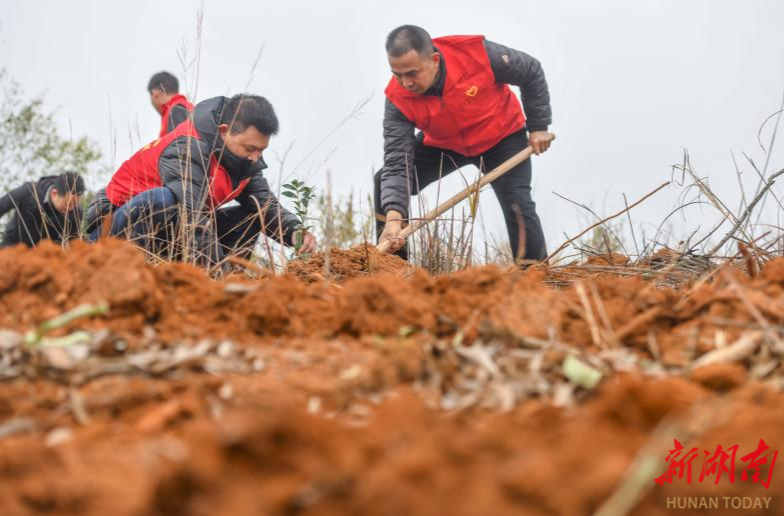道县：开展林业科技助农 助推绿色产业发展