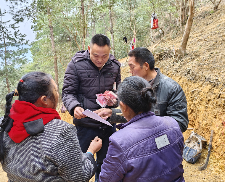 奋进的春天 | 会同青朗：家门口喜领工资 中药材种植示范基地让群众尝到甜头