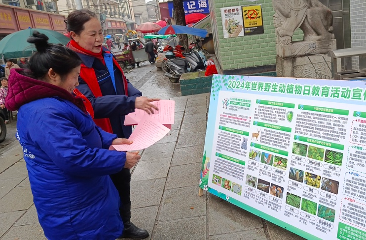 醴陵市林业局开展2024年“世界野生动植物日”宣传活动