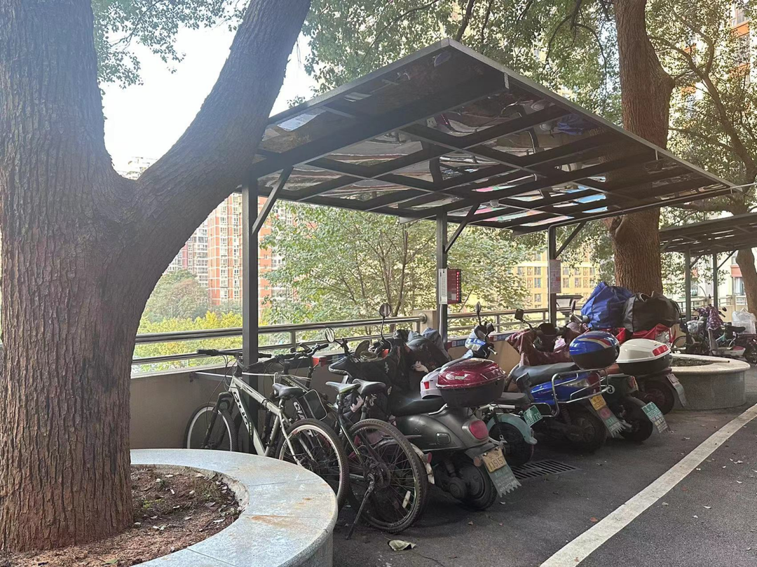 少儿自行车什么牌子华体会- 华体会体育官网- 华体会体育APP下载好