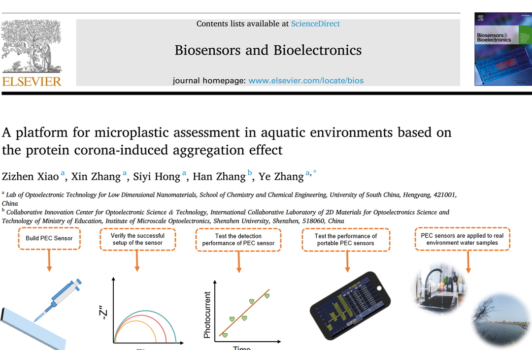 南华大学成功研制可用于快速检测水生环境中聚苯乙烯微塑料的便携式光电化学传感器