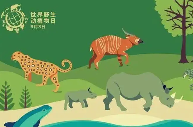 耒阳市林业局开展“世界野生动植物日”宣传活动